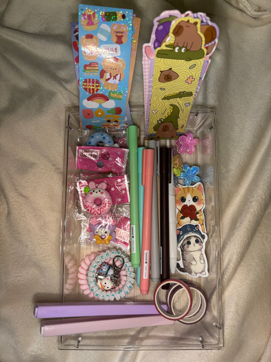 Packing video on TikTok!